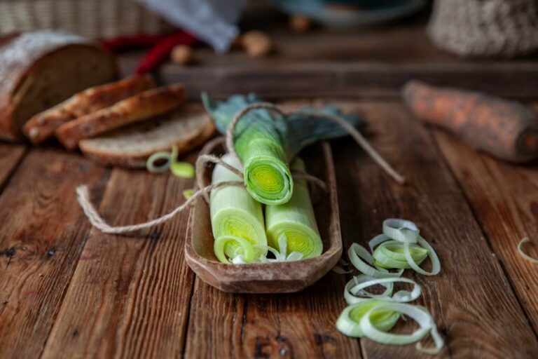 Salata sa prazilukom