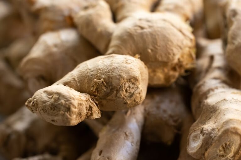 svež koren đumbira (ginger root) – prirodni sastojak za čaj i zdravu ishranu